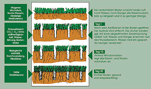 Info Aerifizieren